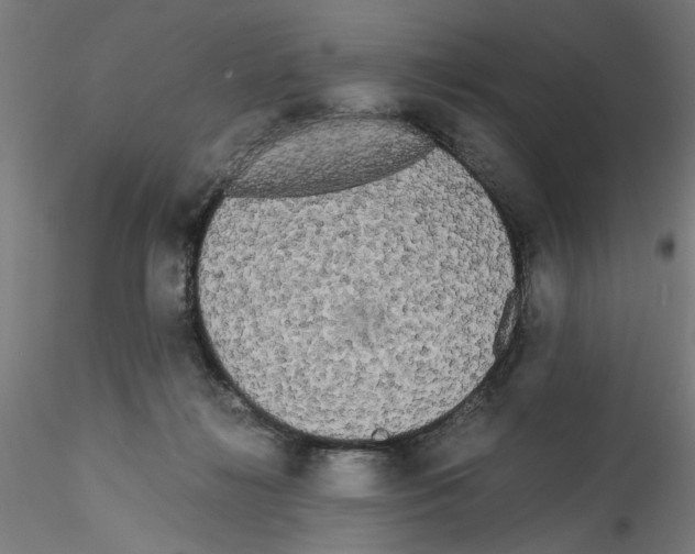 X0000114590268200911301406