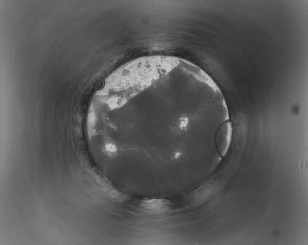 X0000114590269200911301406