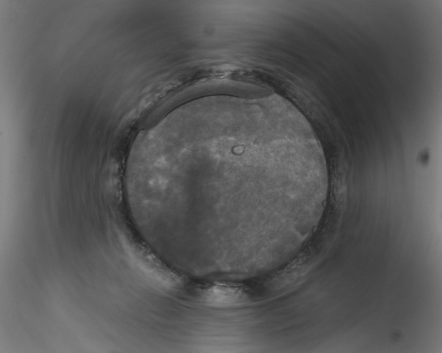 X0000114590270200911301406