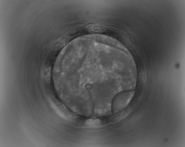 X0000114590271200911301406