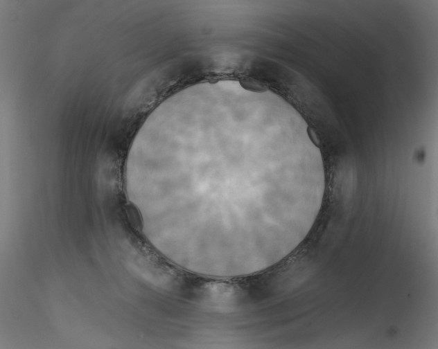 X0000114590272200911301406