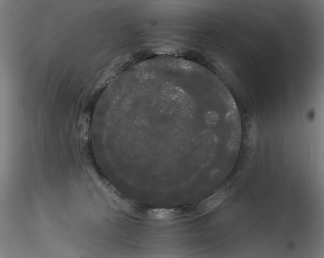 X0000114590273200911301406