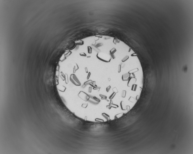X0000114590274200911301406