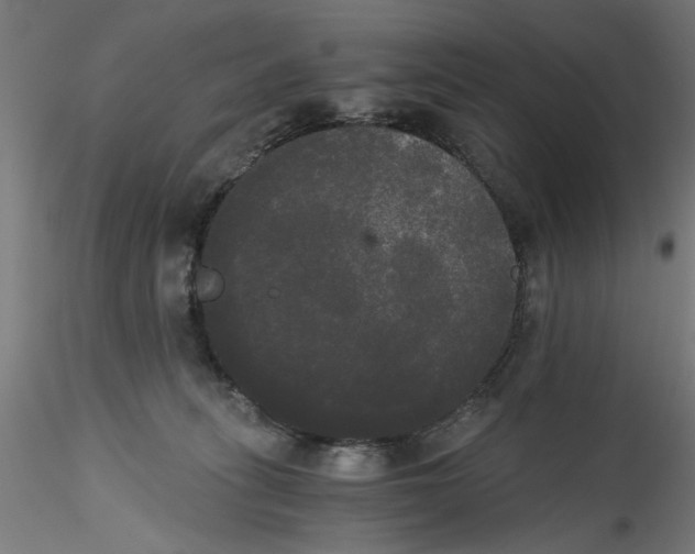 X0000114590275200911301406