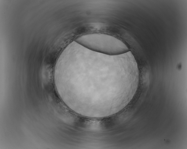 X0000114590276200911301406
