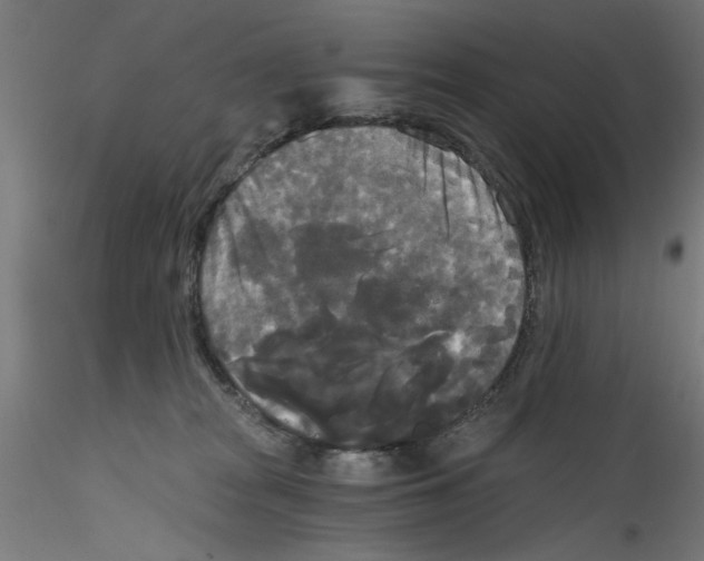 X0000114590277200911301406
