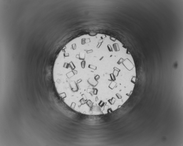 X0000114590278200911301406
