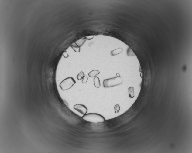 X0000114590279200911301407