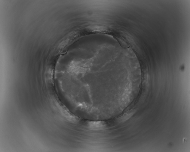 X0000114590281200911301407