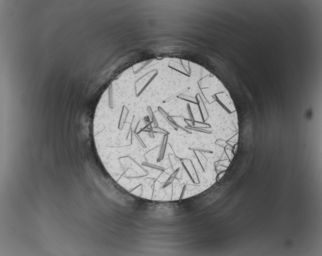 X0000114590282200911301407