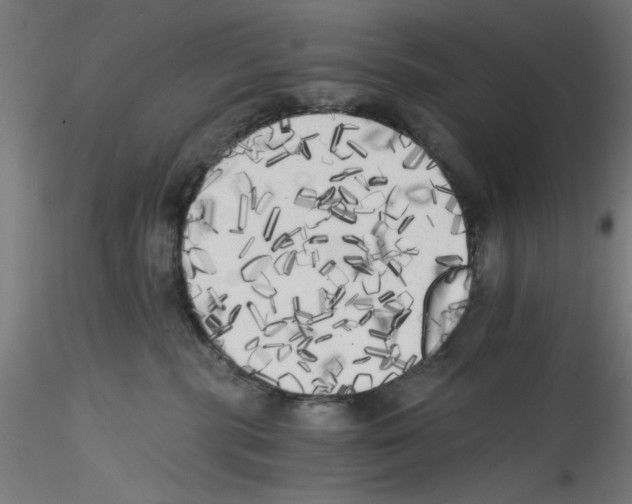 X0000114590283200911301407