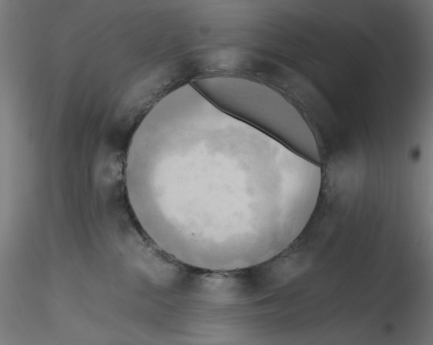X0000114590284200911301407