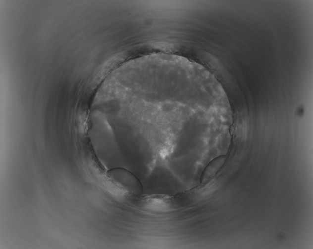 X0000114590285200911301407