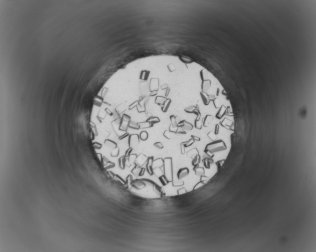 X0000114590286200911301407