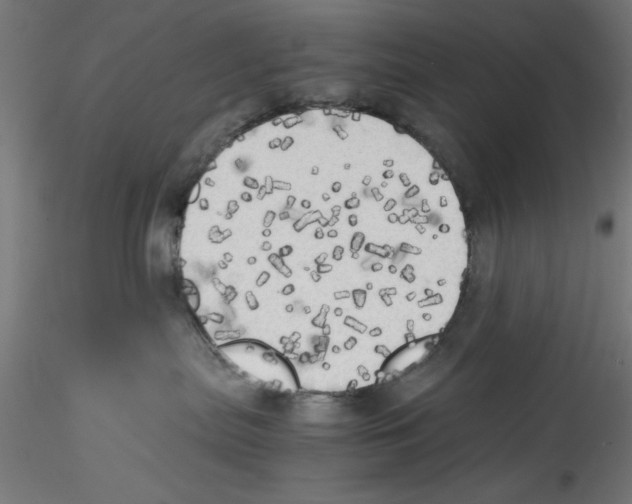 X0000114590287200911301407