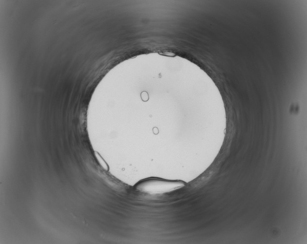 X0000114590288200911301407