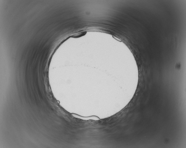 X0000114590289200911301406