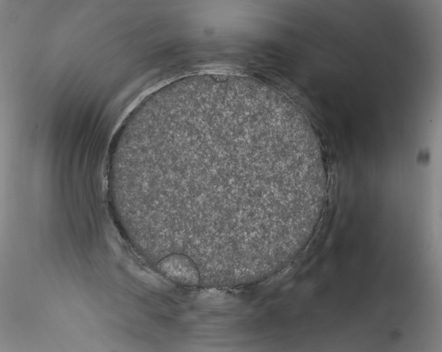 X0000114590290200911301406
