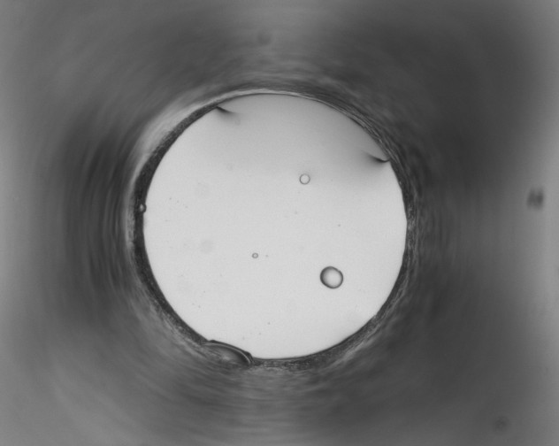X0000114590294200911301406