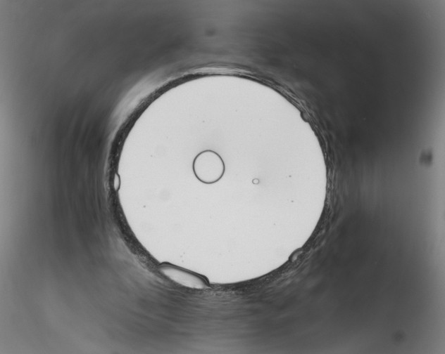 X0000114590296200911301406