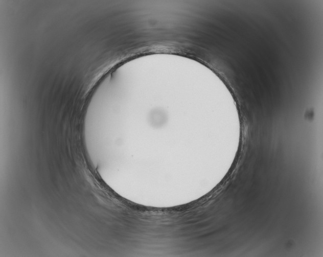 X0000114590297200911301406