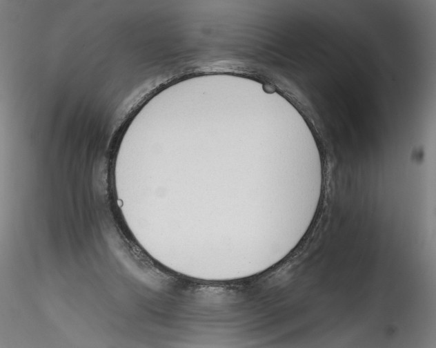 X0000114590298200911301406