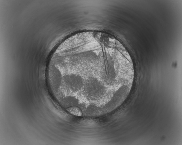 X0000114590299200911301406