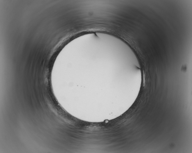 X0000114590300200911301406