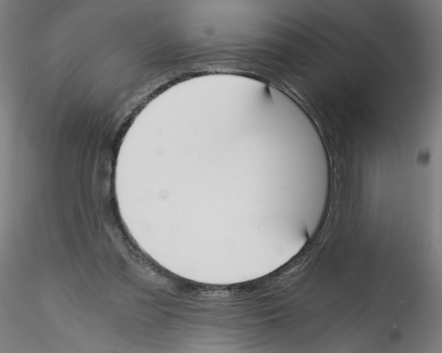 X0000114590301200911301406