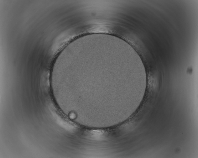 X0000114590302200911301406
