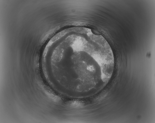 X0000114590303200911301406