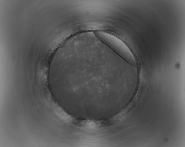 X0000114590305200911301406