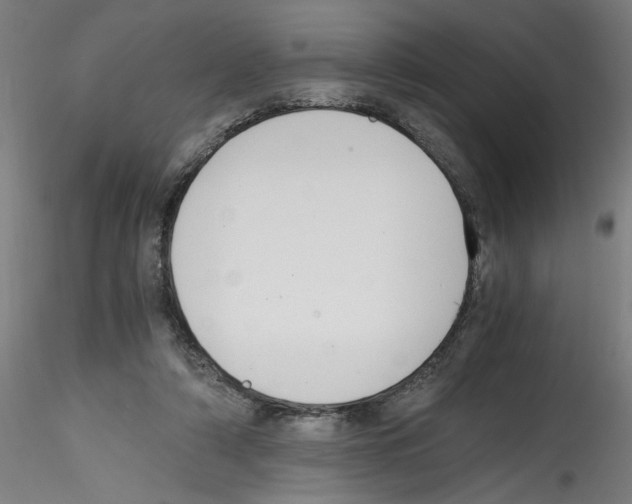 X0000114590306200911301406