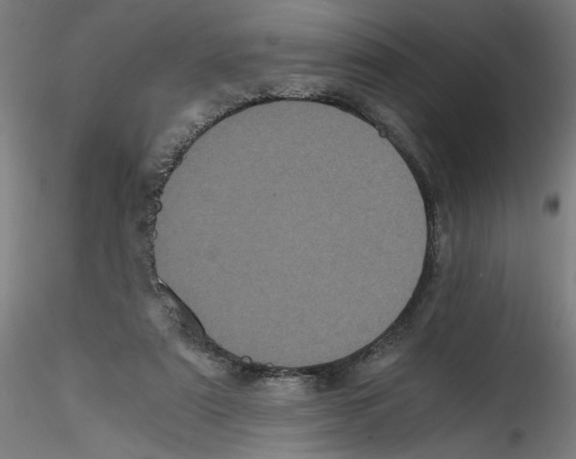 X0000114590307200911301406