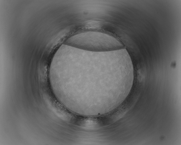 X0000114590308200911301406