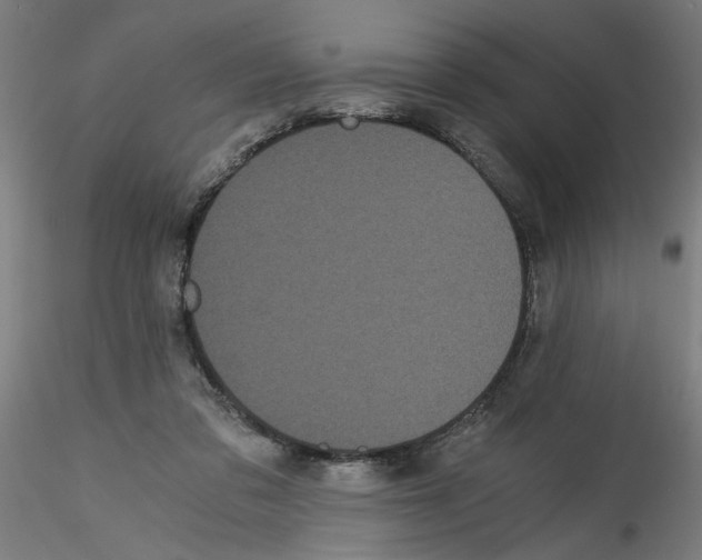 X0000114590309200911301406