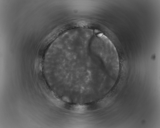 X0000114590313200911301406
