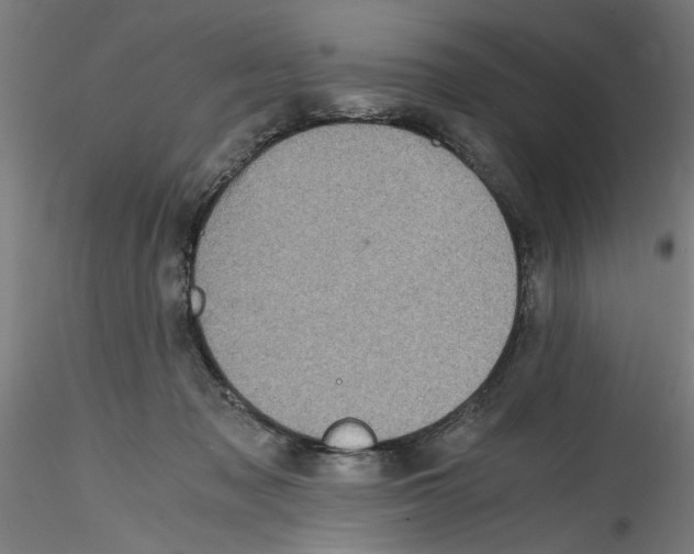 X0000114590317200911301406