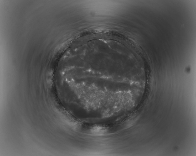 X0000114590319200911301406