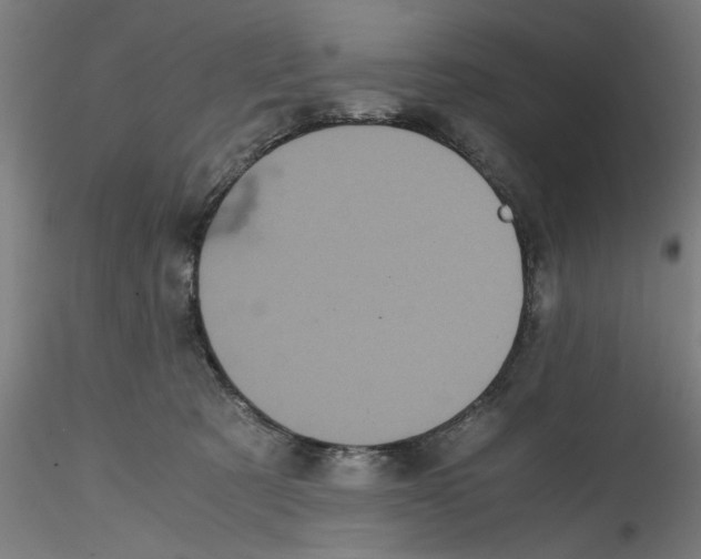 X0000114590321200911301406