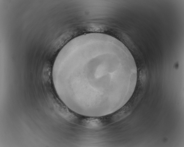 X0000114590322200911301406