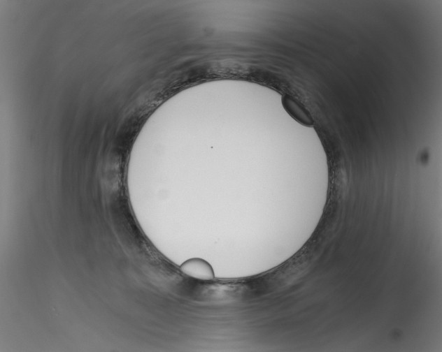 X0000114590323200911301406