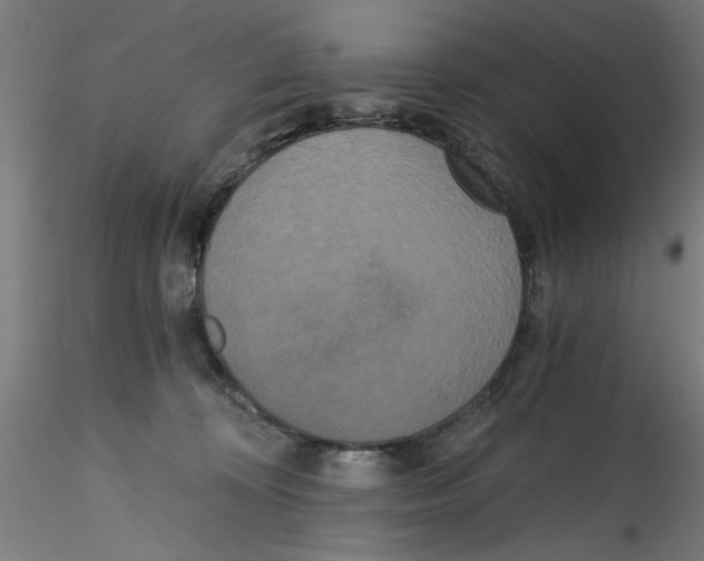 X0000114590324200911301405