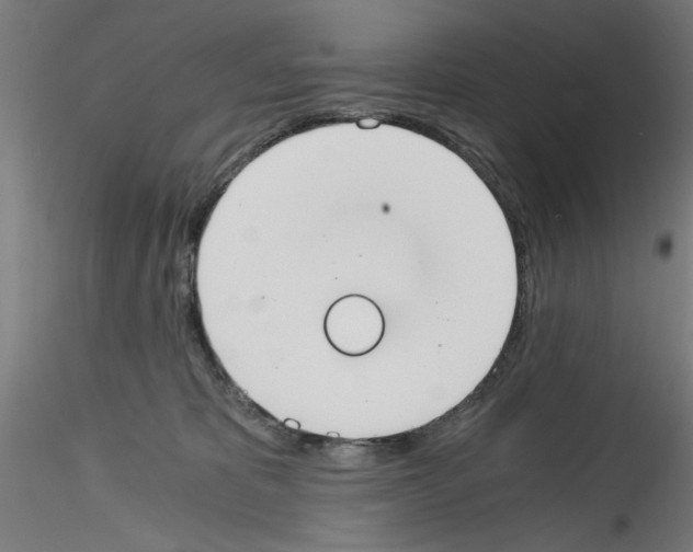 X0000114590325200911301405