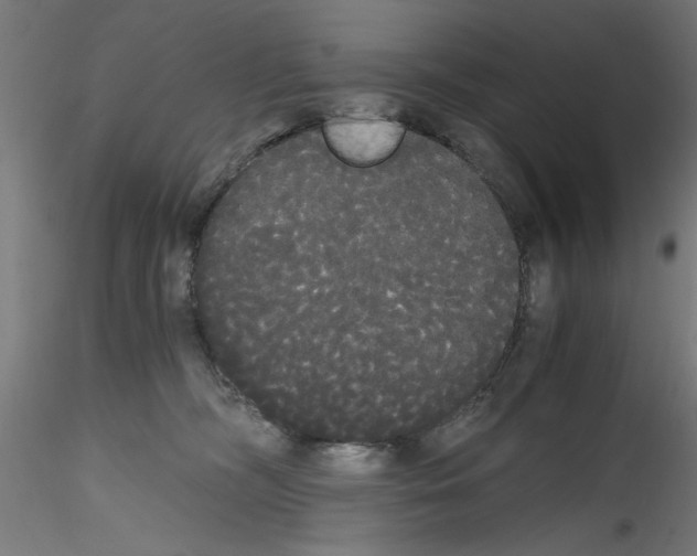 X0000114590326200911301405