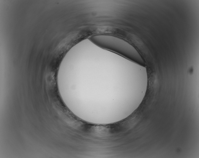 X0000114590327200911301405