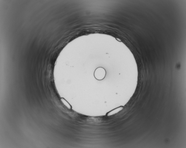 X0000114590328200911301405