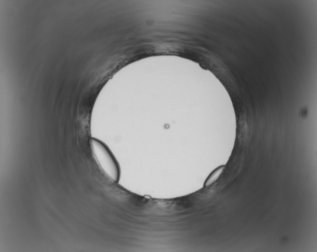 X0000114590329200911301405