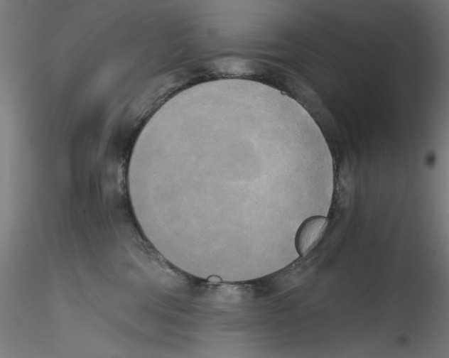 X0000114590330200911301405