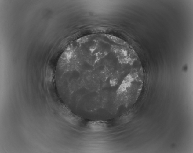 X0000114590331200911301405